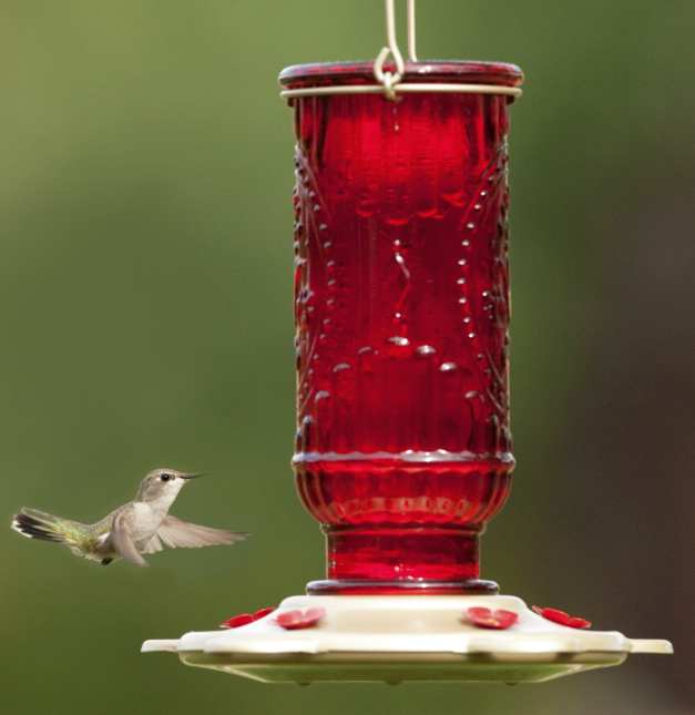 Vintage Red Hummingbird Feeder 20 oz.